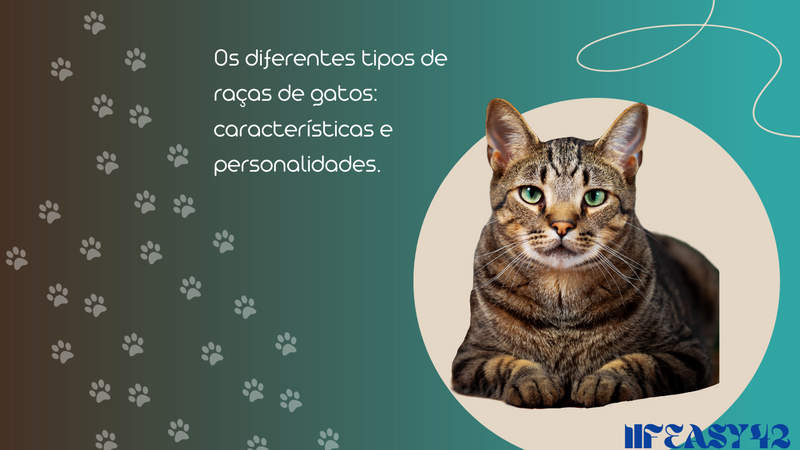Os diferentes tipos de raças de gatos: características e personalidades. - Lifeasy42