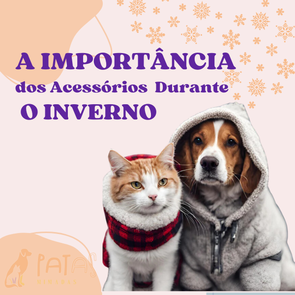 A Importância dos Acessórios para Pets Durante o Inverno - Patas Mimadas