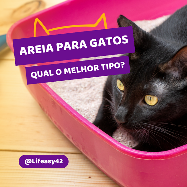 Areia para Gatos: Comparando Opções e Encontrando a Melhor Escolha - Lifeasy42