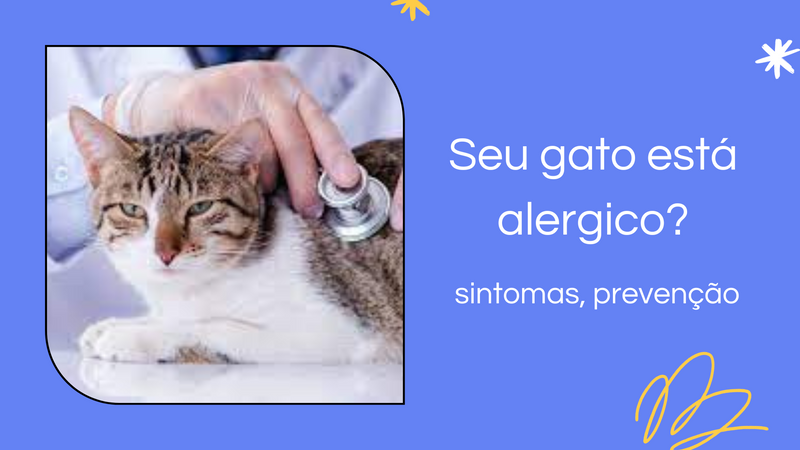 Alergias a gatos: sintomas, prevenção e tratamento. - Lifeasy42