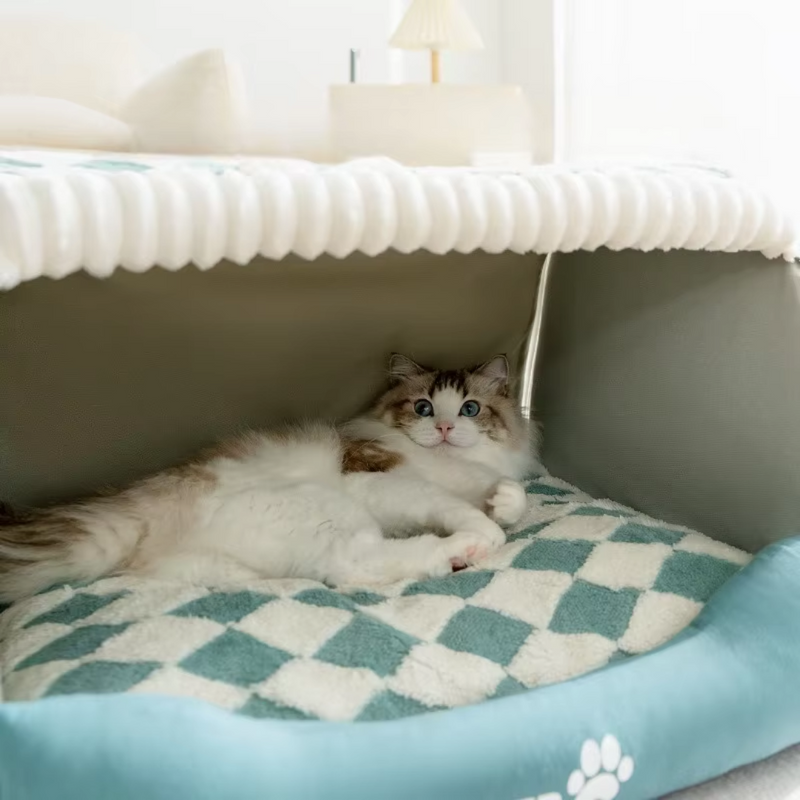 Cama casa