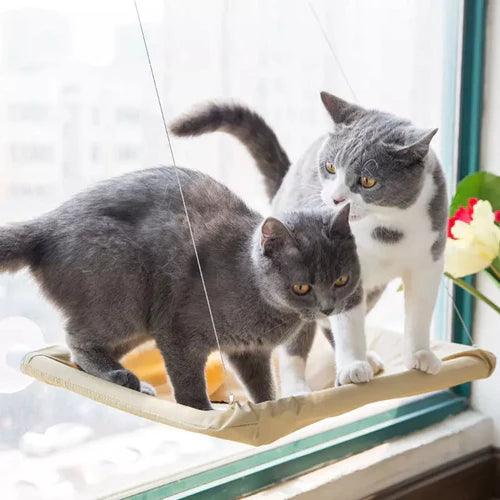 Cama de janela para gatos