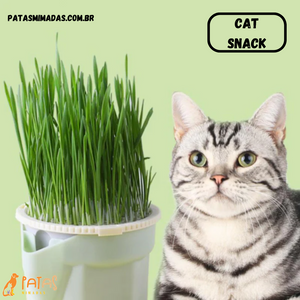 Cat Snack - Compre dois por R$139,85