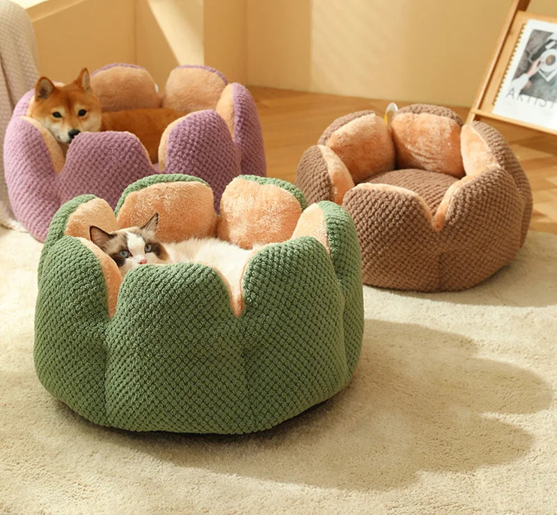 Cama cat flower para gatos - Patas Mimadas