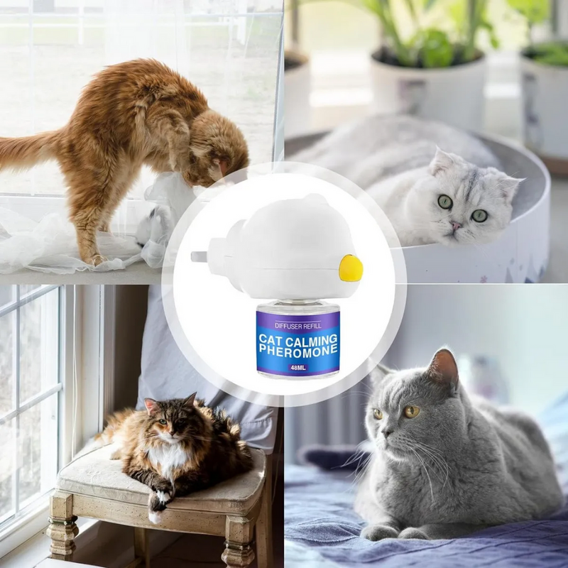 Pet Calm- Difusor de feromônios calmantes para pets