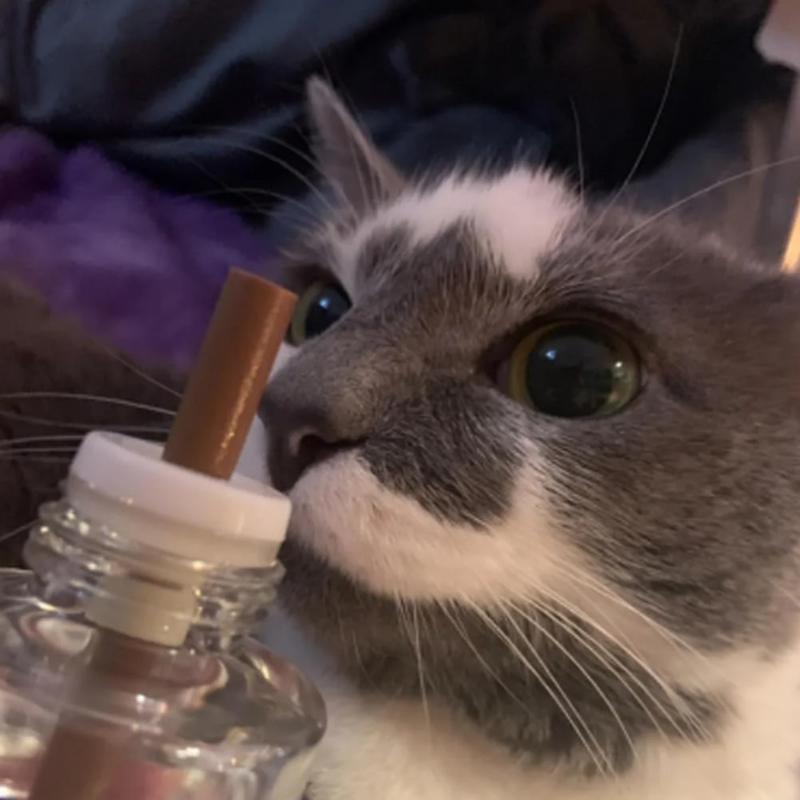 Pet Calm- Difusor de feromônios calmantes para pets
