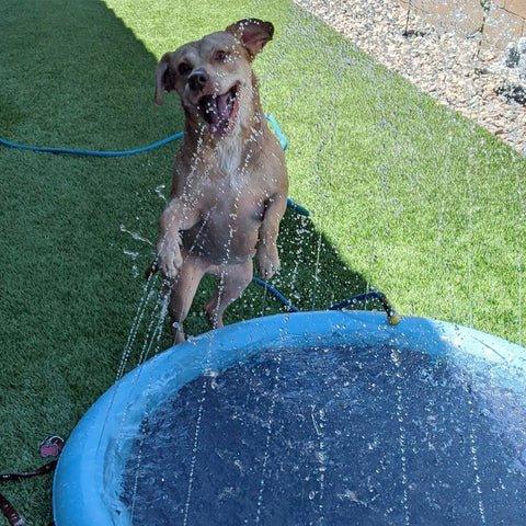 PetPool - Piscina com chafariz - Lifeasy42