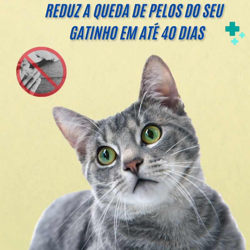 Ômega 3 para gatos