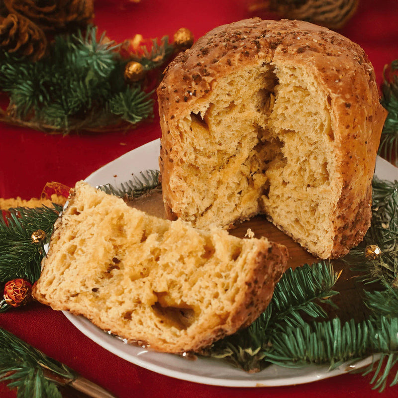 Panetone para cães